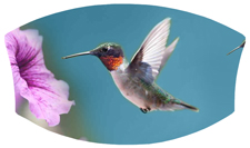 DNSWILL 028 Humming Bird 2